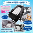 クールパッド