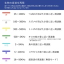 虫よけキーホルダー