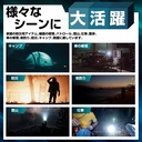 懐中電灯 led 1本