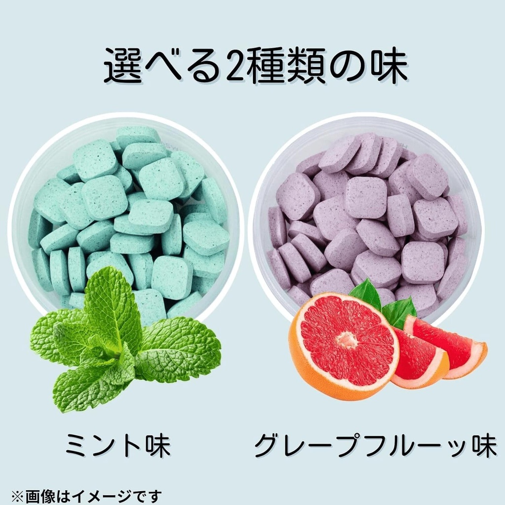 タブレット歯磨き (ミント)